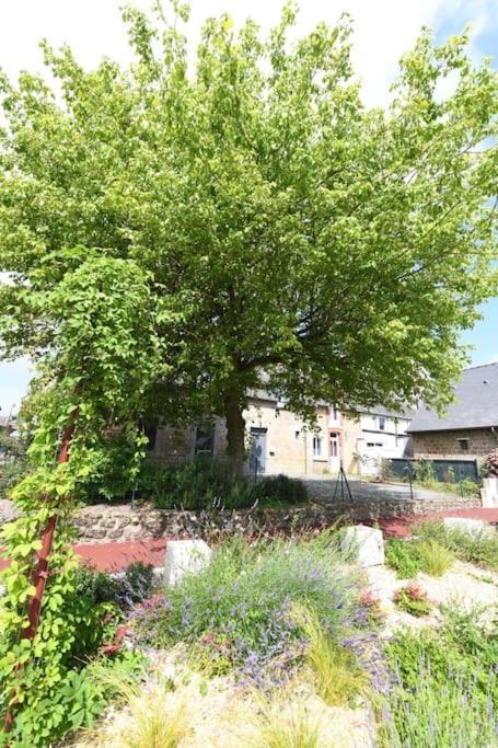 Aupres De Mon Arbre Pontmain Exterior foto